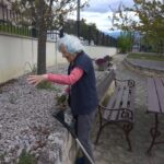 DanSpremebeRoze Koper 6