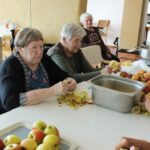 JabolkaMiniMaturantje Jursinci 6