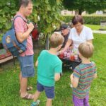 OsvezilniNapitki Ptuj (13)