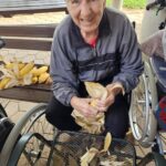 LickanjeKoruzeTrebljenjeBuc Muretinci (3)
