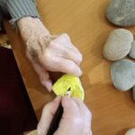 RisanjeNaKamencke Muretinci (6)