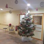 KrasitevNovoletnihSmrecic Kidricevo (13)