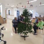 KrasitevNovoletnihSmrecic Kidricevo (7)