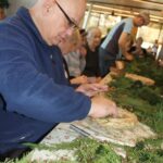NovemberskeDelavnice Muretinci (10)