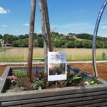 Visoka greda z rastlinami in tablo z naslovom "Prišli ste na cilj".