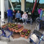 Na dvorišču pred stavbo so starejši ljudje v invalidskih vozičkih in s hojcami zbrani okoli sveže zasajenih cvetličnih loncev, ki so razvrščeni na stojalih. Rože so posajene v več loncih, dogodek poteka na prostem in vsi udeleženci opazujejo rezultate svojega dela.