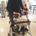 Starejši moški v črnem puloverju hodi s hoduljo, na kateri sedi mops. Pes gleda navzgor proti moškemu, ki ga nežno boža po glavi. V ozadju je svetel prostor z več starejšimi osebami, nekateri sedijo na stolih, drugi v naslanjačih. Na stenah so okraski in barviti elementi, ki dajejo prostoru prijeten občutek.
