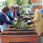 Skupina starejših oseb na prostem sadí rože v korita. Vsak udeleženec nosi zaščitne rokavice in predpasnik, na mizi pa so zemlja, sadike in vrtnarska orodja.