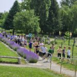 Skupina osnovnošolskih otrok hodi po tlakovani poti ob cvetoči sivki v zelenem parku.