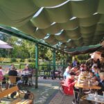 Stanovalci doma za starejše med zajtrkom na prostorni terasi v senci nadstreška, obkroženi z zelenjem in sprehajalnimi pripomočki.