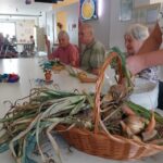 Na mizi v skupnem prostoru doma za starejše je velika pletena košara, polna čebule in korenčka z zelenjem; v ozadju za mizo sedijo trije stanovalci, ki držijo pridelano zelenjavo in se pogovarjajo.