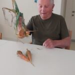 Starejši gospod sedi za mizo v notranjem prostoru, pred sabo ima tri korenčke, v roki drži sveže izpuljeno čebulo z zelenim listjem in se smehlja.