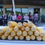 Na mizi so naloženi storži koruze, v ozadju pa na dvorišču doma sedijo stanovalci, večina na invalidskih vozičkih.
