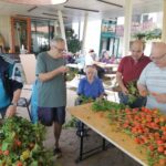 Skupina stanovalcev na terasi doma za starejše razvršča oranžne lampijončke na dolge stebla.