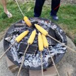 Več koruznih storžev se peče nad žerjavico na okroglem kurišču, nabodeni so na dolge palice.