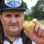 Moški s kapo kaže proti kameri krompir v obliki srca, zamegljeno ozadje prikazuje zelenico in drevesa.