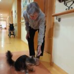 Starejša ženska v sivem puloverju se sklanja in s prstom sega proti dolgodlaki mački, ki stoji na tleh hodnika.