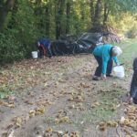 Skupina oseb nabira kostanj ob gozdni poti, vsak s svojim vedrom.