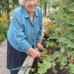 Stanovalka na vrtu ureja visoko gredo z zelenjavo in cvetjem.