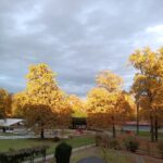 Velika drevesa v jesenskih odtenkih ob sončnem zahodu pred domom.