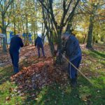 Stanovalci grabijo jesensko listje pod drevesi v parku doma.