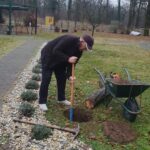 Stanovalec doma za starejše z lopato koplje luknjo ob drevesu na zelenici.