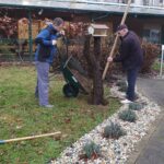 Stanovalec in zaposleni skupaj delata na urejanju okolice okoli drevesa s ptičjo hišico.