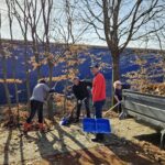 Več oseb z lopatami in grabljami zbira in nalaga listje ob drevesih v bližini prikolice.