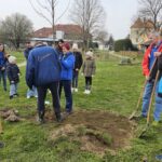 Skupina oseb stoji na travniku in skupaj kopa jamo za sajenje drevesa z lopatami.
