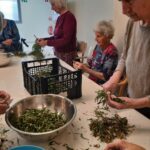 Osebe ob mizi ročno čistijo regrat, ki ga zbirajo v skledo in zaboj.