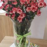 Šopek rdeče-belih nageljnov stoji v stekleni vazi na mizi.