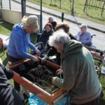 Osebe stojijo okoli dvignjenega korita in skupaj pripravljajo zemljo za sajenje rastlin.