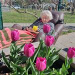 Oseba počiva na ležalniku na prostem, pokrita z odejo, ob njej v ospredju cvetijo tulipani v dvignjeni gredi.