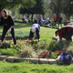 Več oseb na travniku ureja krožno gredo; nekatere sadijo ali odstranjujejo rastline, druge delajo v ozadju.