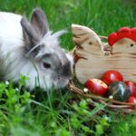 Zajček na travi stoji ob košarici z barvanimi pirhi in velikonočno dekoracijo.