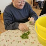 Starejši gospod z nasmehom pripravlja liste za okraševanje pirhov, pri tem pa zbrano razporeja zelenje na mizi.