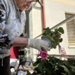 Stanovalka doma je z veseljem sodelovala pri sajenju pisanega cvetja in urejanju skupne terase.