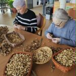 Dve stanovalki sedita za mizo in luščita orehe ob košarah z orehovimi jedrci.