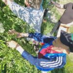 Skupina stanovalcev sega po dišečih bezgovih cvetovih ter jih skupaj nabira za pripravo domačih dobrot.