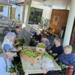 Skupinsko nabiranje lipovih cvetov je prijetna delovna terapija, ki povezuje stanovalce in spodbuja sodelovanje ter ohranjanje tradicionalnih znanj.