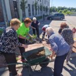Skupina oseb pripravlja zasaditev sivke ob parkirišču z uporabo samokolnice in vrtnega orodja.