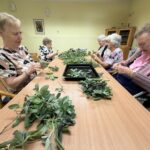 Skupina žensk sedi za mizo in odstranjuje liste z zeliščnih vejic.
