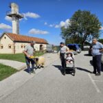 Ovco vodi oseba po poti ob skupini ljudi in otroškem vozičku.
