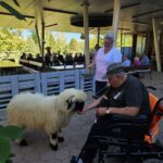 Oseba na invalidskem vozičku hrani ovco iz roke, ob njej stoji druga oseba.