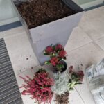 Velik siv cvetlični lonec z zemljo in več lončnicami, pripravljenimi za zasaditev.